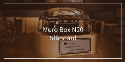 Muro Box N20 Standard