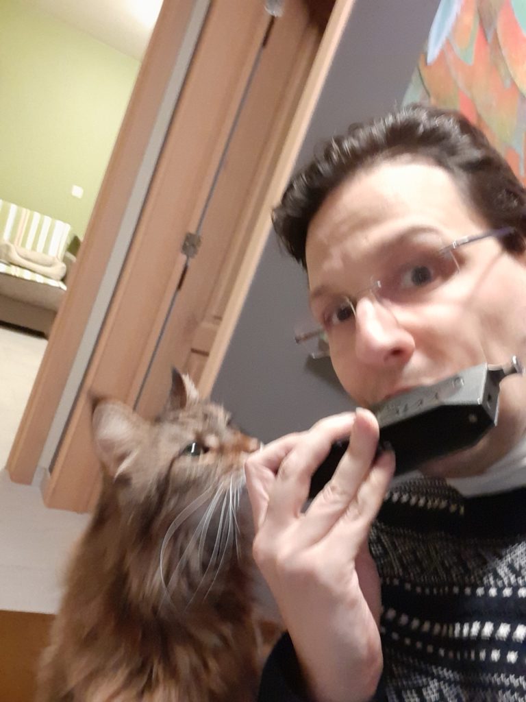 My 16-year old cat is watching me playing my mouth harmonica. It is common for cats to react to Harmonica music. The sounds it produces is very similar in timbre to cat meowing. In instinct they interpret it as another cat doing a midnight serenade for them 😊 That is why they react to it so “lovingly.”
