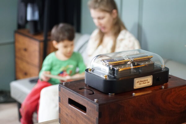 Muro Box-N40 Standard | Your Perfect MIDI Instrument - Image 8