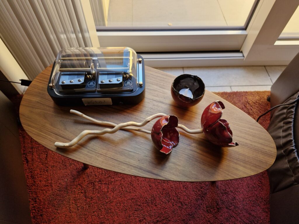 ベルギーの Siegfried 氏の自宅では、木製のローテーブルの上に Muro Box-N40 標準版・ブラックのオルゴールが置かれています。透明なカバー越しに、二組の櫛歯とシリンダー機構が見えます。テーブルには花や種のさやを思わせる陶芸作品も並び、テクノロジーとアートが静かに対比を成しています。掃き出し窓から自然光が差し込み、室内にはあたたかな家庭の雰囲気が満ちています。