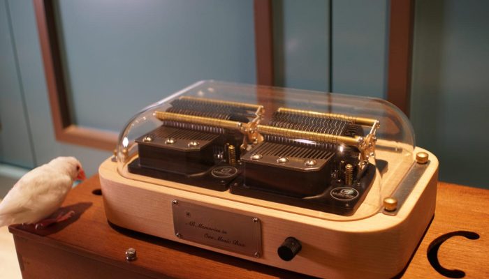 N40 Standard with resonance box and bird